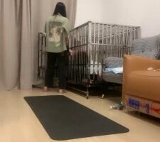 【暴力美学】白丝裸足羞辱/踩踏喂食/转胯遛狗/鞭打揪耳朵 bf26104