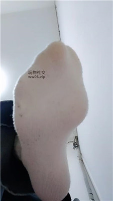 【上海汤圆】灯学狗叫    250202-21