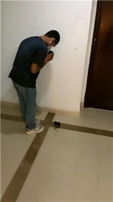 【普西】文员下班后虐老板奴 JS250607-17