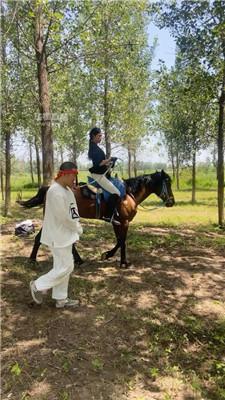 【爱丽丝】囚犯奴圈养-户外骑马犬化【双视角版】 bf54659