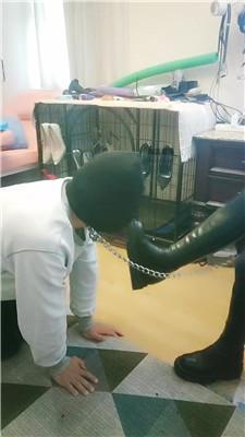 【梦琪】圈养狗笼-长靴踩 JS251023-36