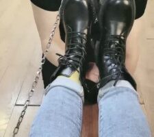 【西安欣】狗笼圈养喂食狗【双视角版】 bf24282