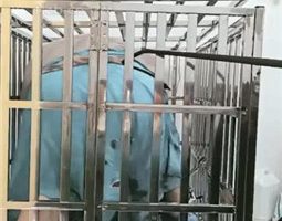 【朱迪女王】圈养狗笼囚禁  JS231117-3