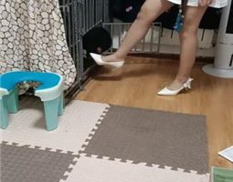 【平凡】圈养狗奴犬化实录 bf35736