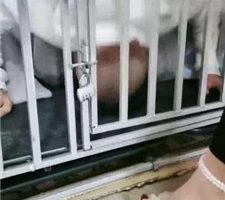 【大美】狗笼圈养-喂食晨尿泡面 JS231127-15