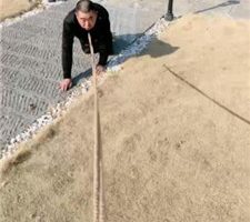 【沅芷大人】圈养犬化-户外狗链遛狗 JS240127-2