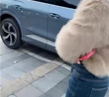 【素人挖掘机】户外开发-小白鞋提档/人肉座椅/耳光 bf38627