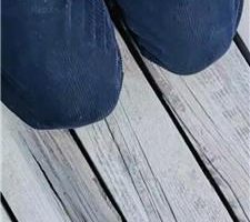 【丝丝清欢】户外-让狗下跪羞辱 JS240327-10