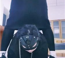 【Alice】办公室驯化下贱小三系列【三】 bf40219