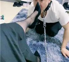 【夏娜】虐光头狗-rs控制/黑丝高跟跪舔/踩踏喂食 JS240413-2