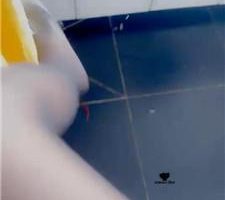 【瑞拉】挑逗家务奴 JS240730-18