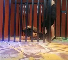 【咩祖】五花大绑囚禁/肉丝脚捂脸/高跟踩/骑马踩踏 bf44683