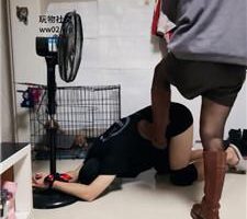 【queen】捆绑长靴重度踢踹 JS241005-11