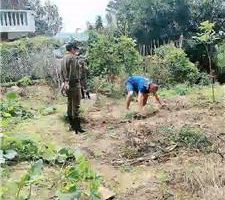 【圈养基地】囚犯严刑管制-劳动改造【双视角版】 JS241014-12