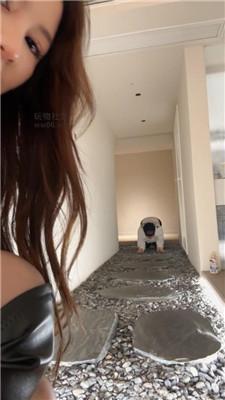 【泡芙】木乃伊捆绑犬化-喂食呕吐物/黑丝插吐 bf49011