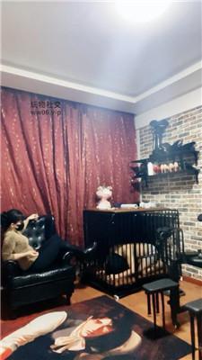 【冷颜】囚禁狗笼/五花大绑/强制加官窒息 JS250118-14