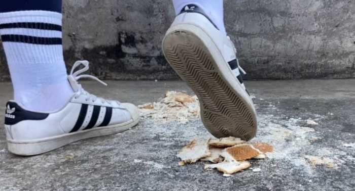 【蛇年任务】阿迪贝壳头+AJ踩小面包（含1分钟羞辱远程喂食）YC-250130-6