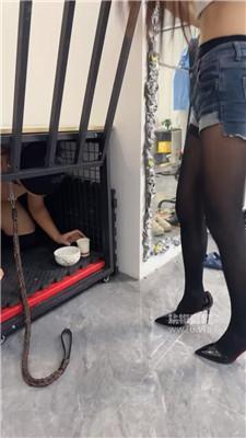 【艾斯】双S-黑丝高跟踩-骑马骑脖 JS250928-43