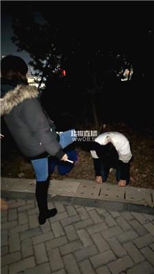 【奈米】双主户外停场玩贱畜 bf59477